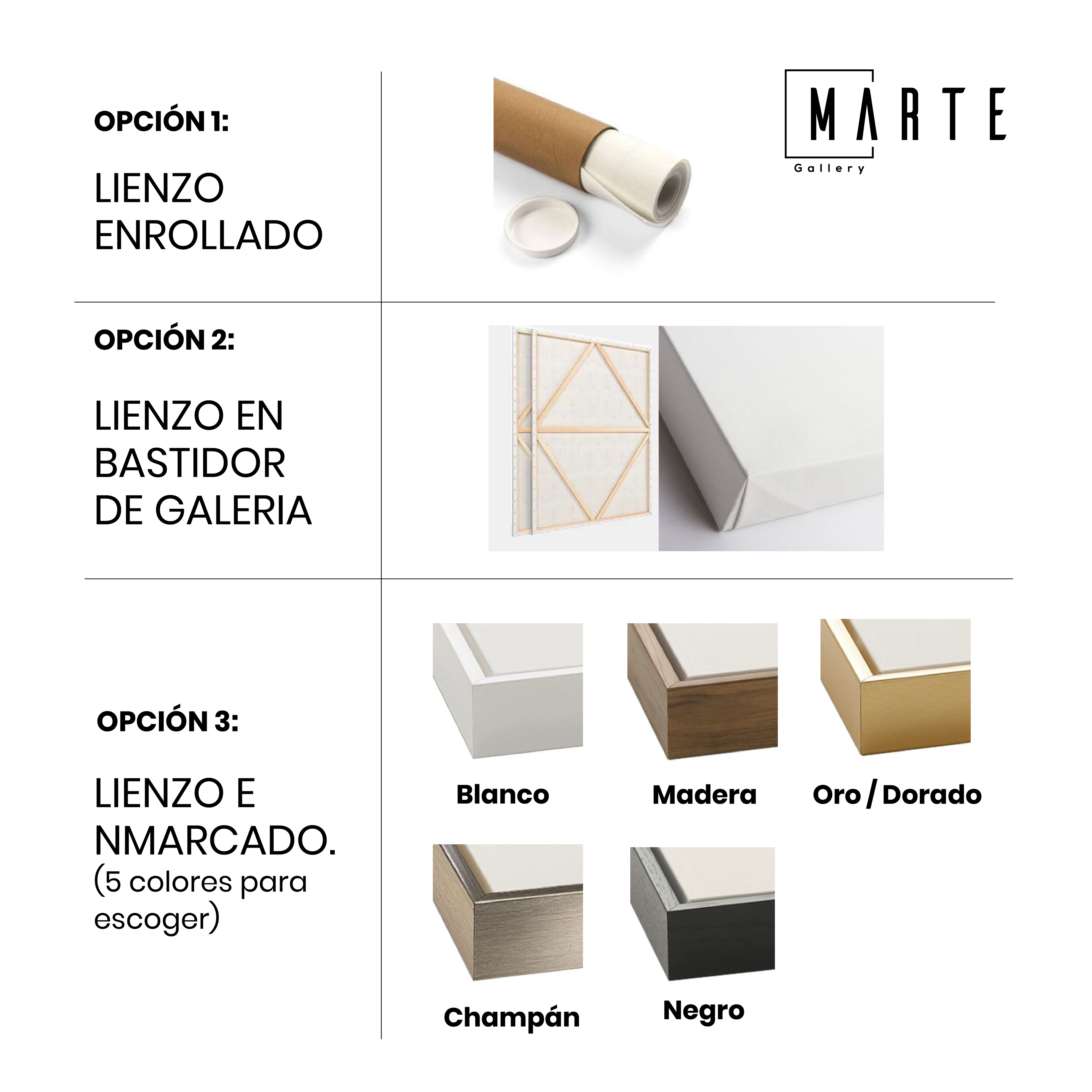 Características y personalización de obras en Marte Gallery
